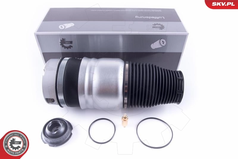 Air Spring, suspension
